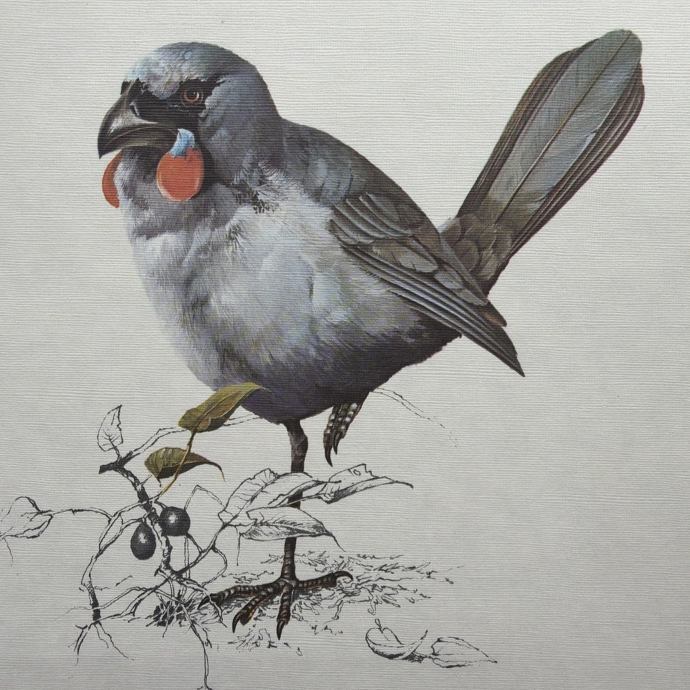Vintage Artist Bruce N Harvey Air New Zealand Kokaku Print Signed 1975
